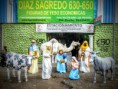 /album/fotogaleria/nacimiento-de-tamano-natural-1-jpg/